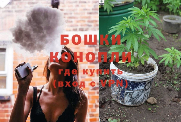 шишки Алексин