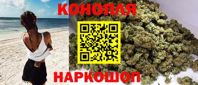 шишки Гагарин